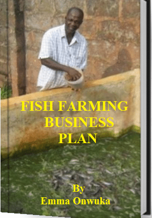 sample business plan for fish farming in nigeria